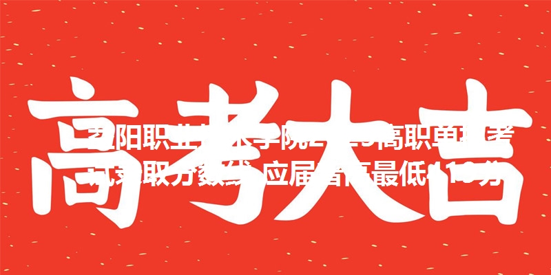 益阳职业技术学院2025高职单招考试录取分数线 应届普高最低419分